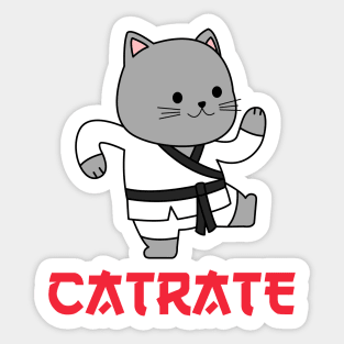 CUTE KARATE CAT JAPANESE Sticker